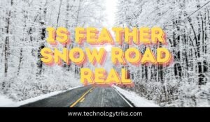 is feather snow road real