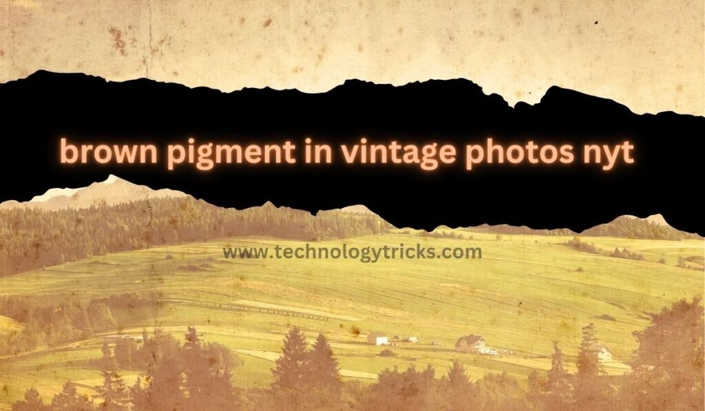 brown pigment in vintage photos nyt