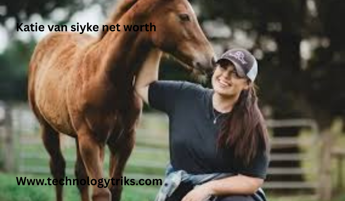 Katie van siyke net worth