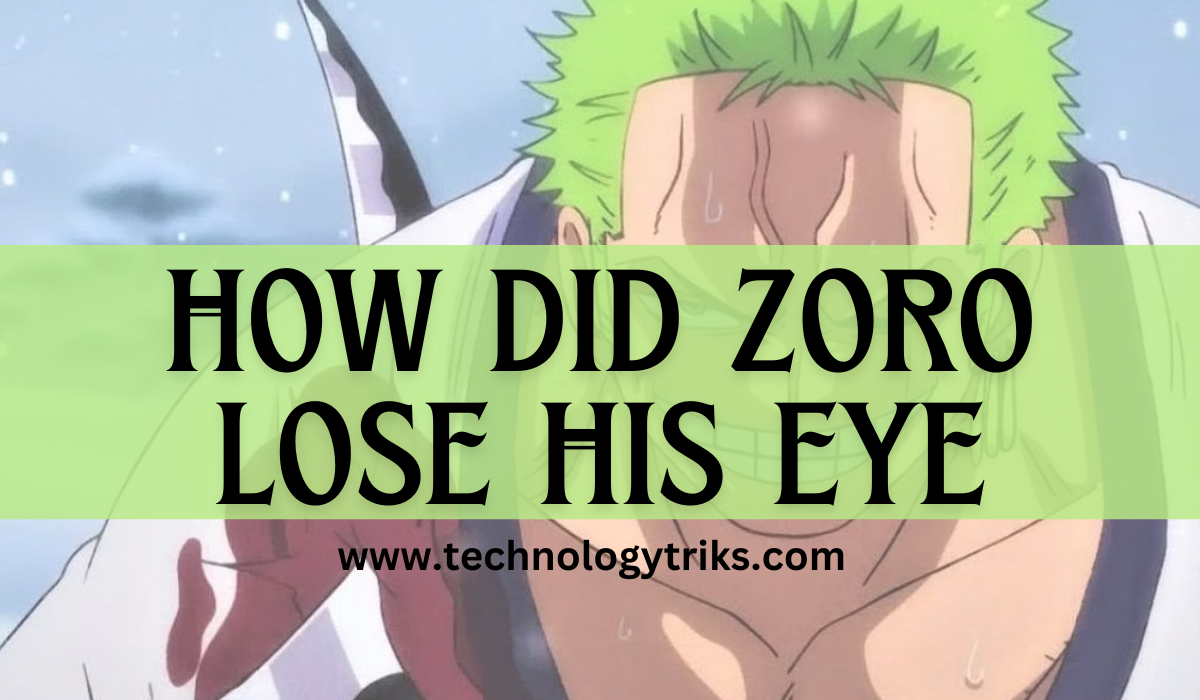 how did zoro lose his eye 